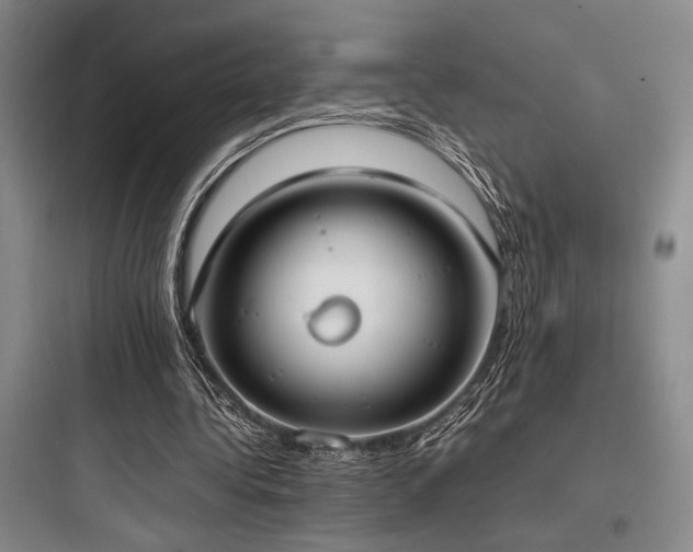 X0000097980340200803241304