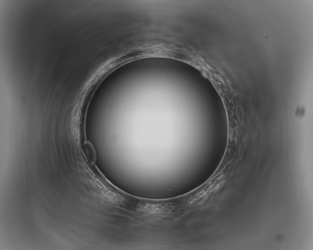 X0000097980341200803241304