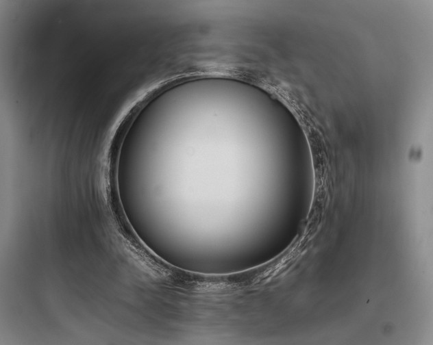 X0000097980342200803241304