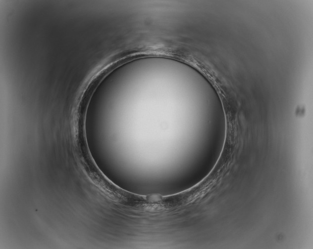 X0000097980344200803241305