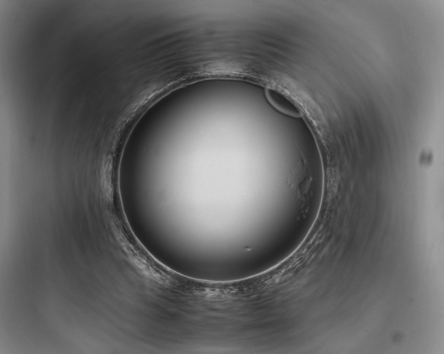 X0000097980345200803241305