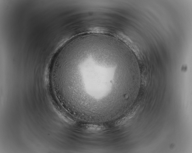 X0000097980347200803241305
