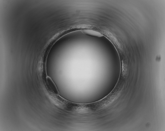 X0000097980348200803241305
