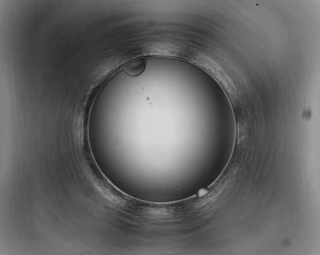 X0000097980349200803241305