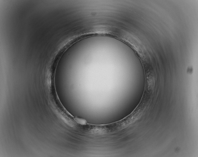 X0000097980350200803241305