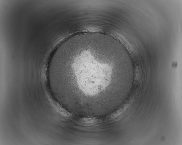 X0000097980351200803241305