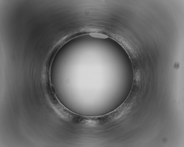 X0000097980352200803241305