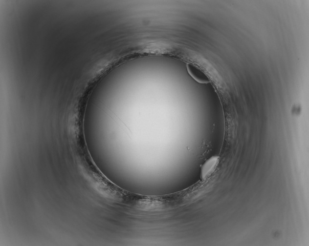 X0000097980354200803241305