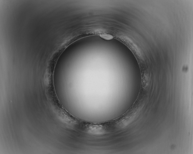 X0000097980355200803241305