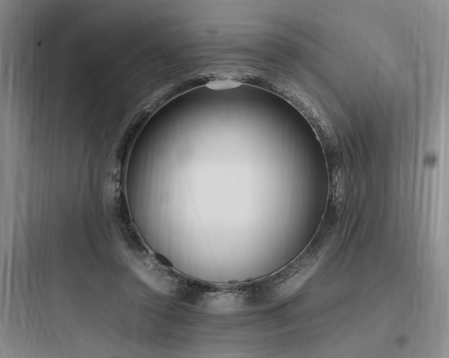 X0000097980356200803241305