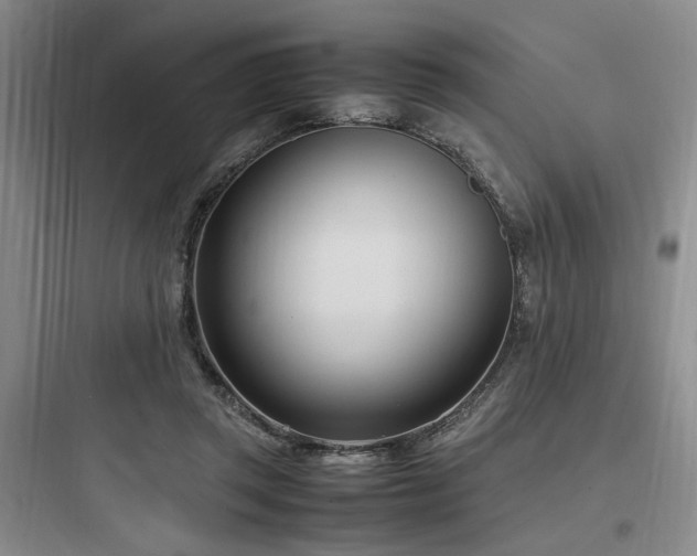 X0000097980357200803241305