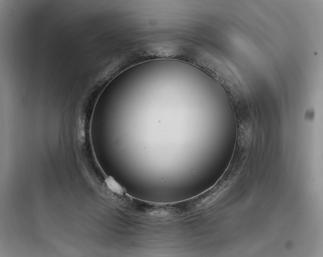 X0000097980358200803241305