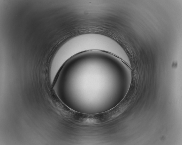X0000097980360200803241305