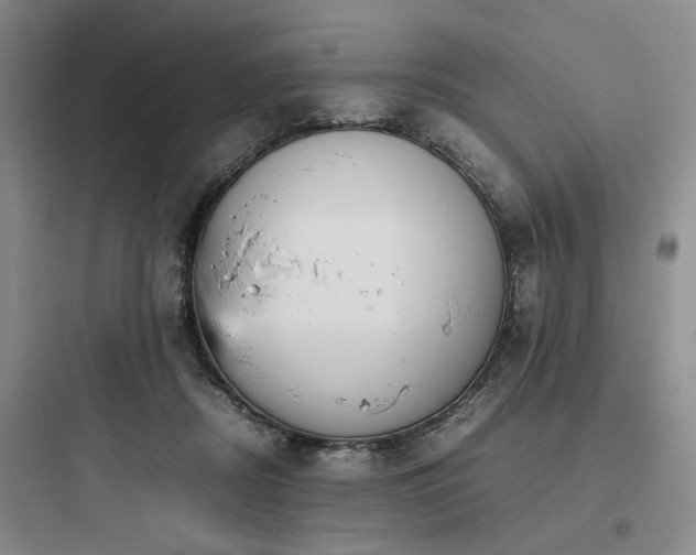 X0000097980362200803241305