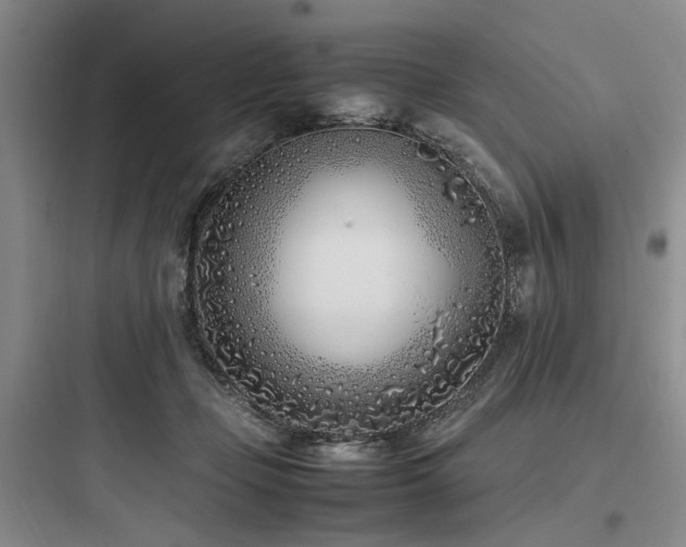 X0000097980365200803241305