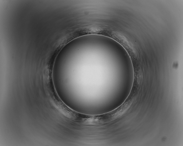 X0000097980366200803241305