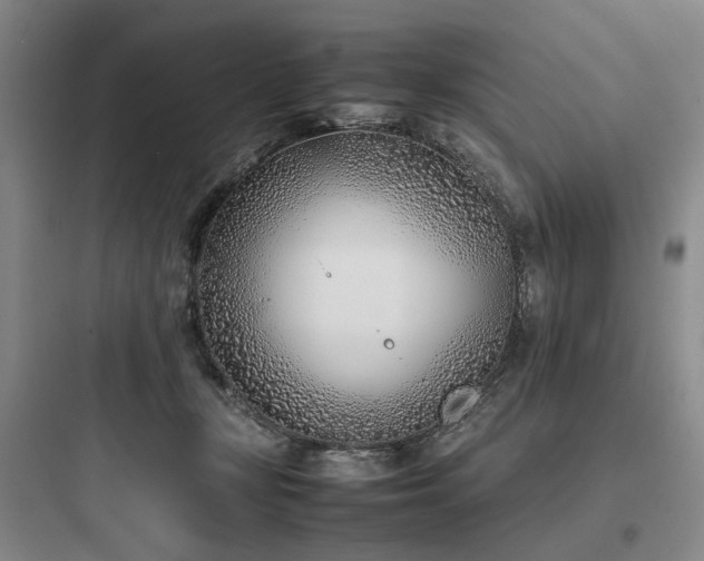 X0000097980367200803241305