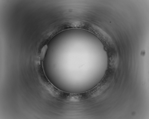 X0000097980368200803241305