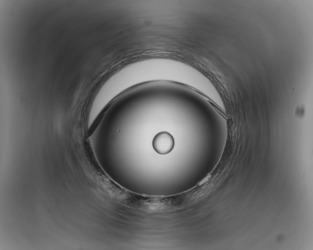 X0000097980370200803241305