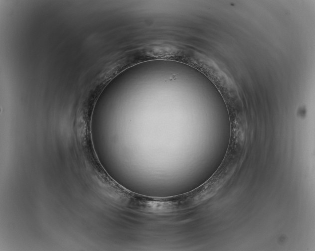 X0000097980371200803241305