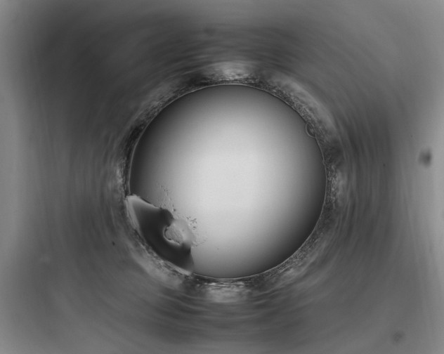 X0000097980373200803241305