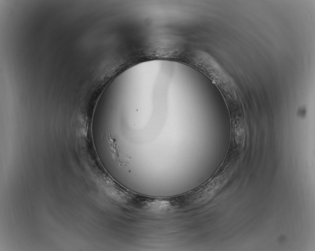 X0000097980374200803241305