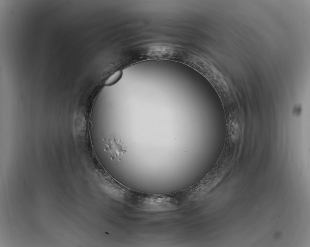 X0000097980375200803241305
