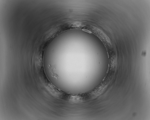 X0000097980376200803241305
