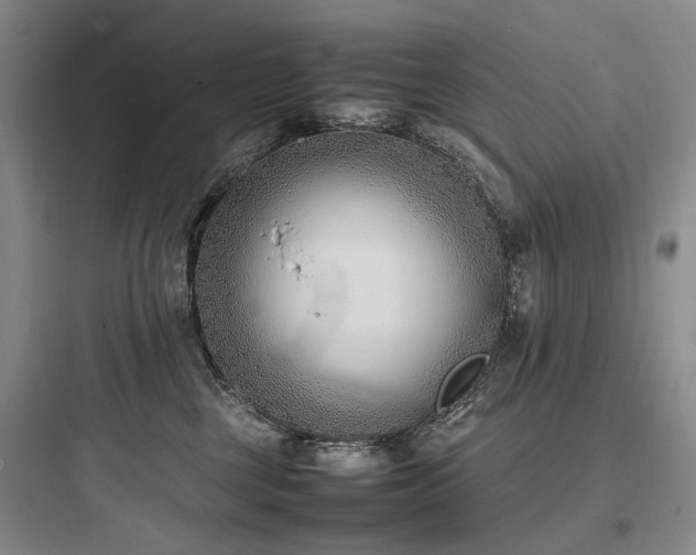 X0000097980377200803241305
