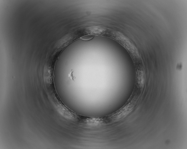 X0000097980378200803241305