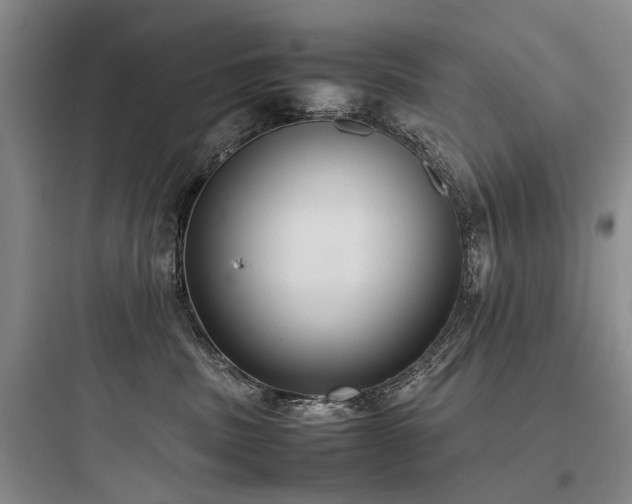 X0000097980379200803241305