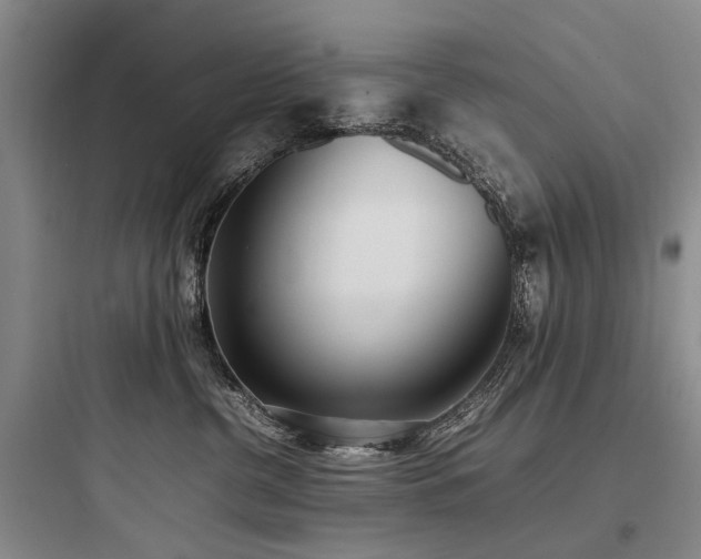 X0000097980380200803241305