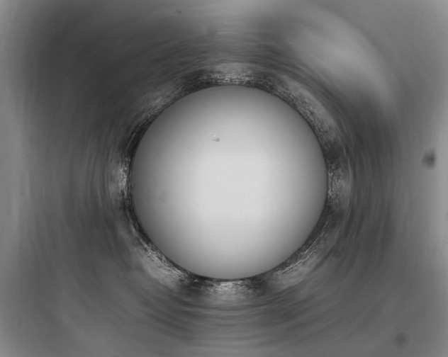 X0000097980382200803241305