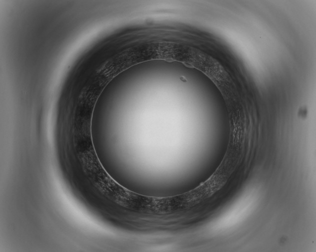 X0000097980383200803241305