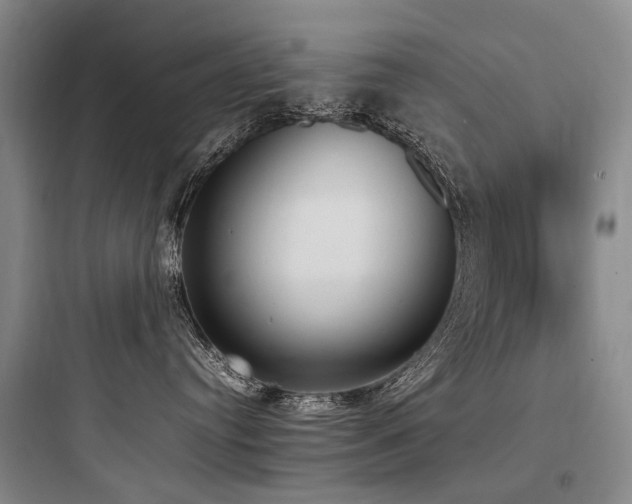 X0000097980384200803241305