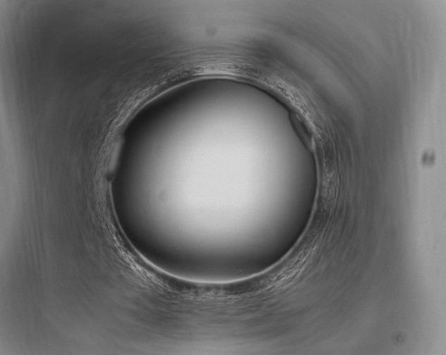 X0000097980385200803241304