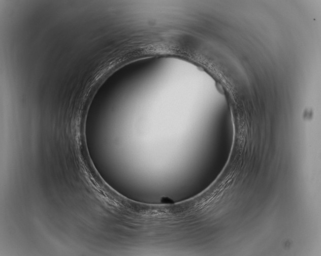 X0000097980386200803241304