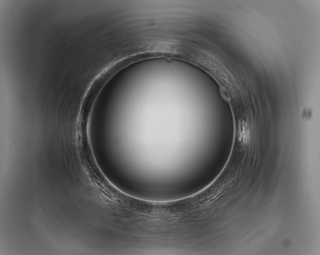X0000097980388200803241304