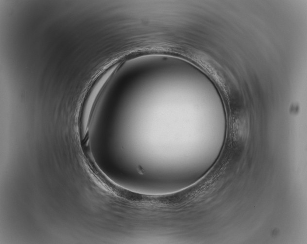 X0000097980389200803241304