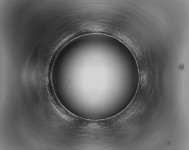 X0000097980390200803241304
