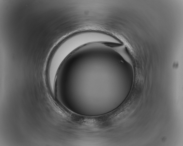X0000097980391200803241304