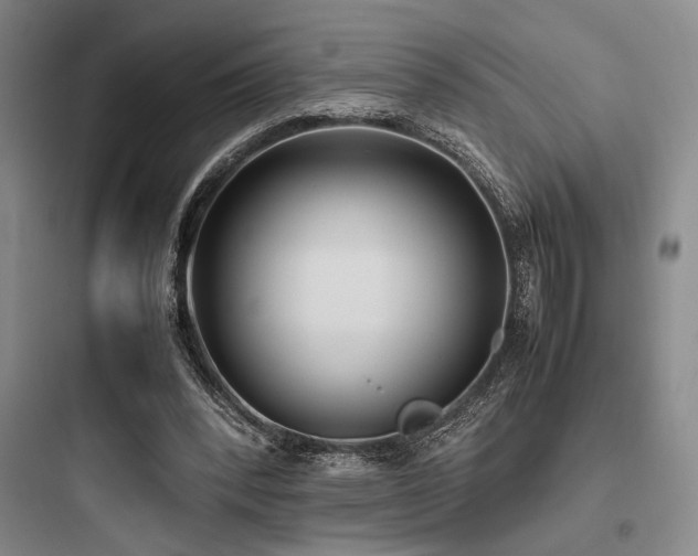 X0000097980392200803241304