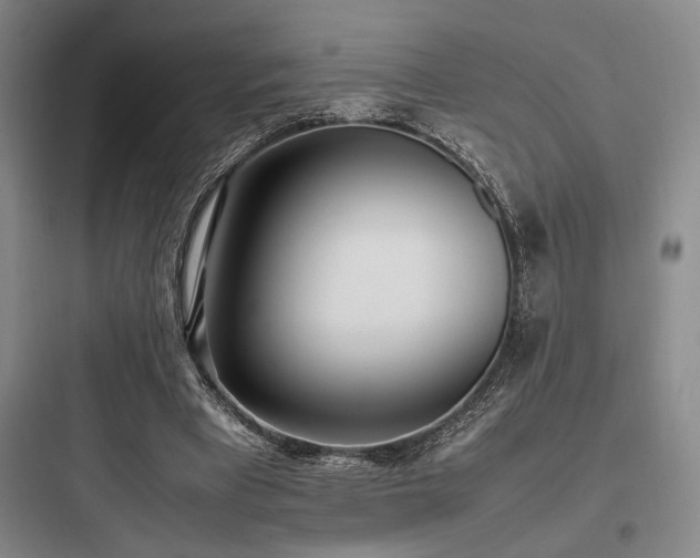 X0000097980393200803241304