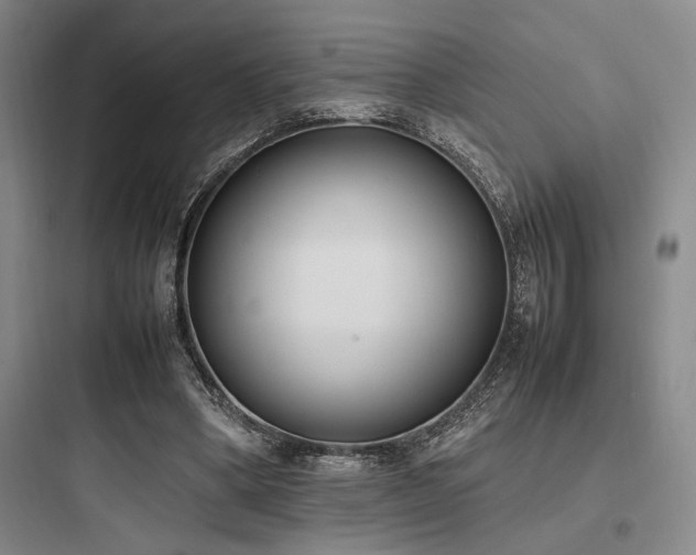 X0000097980394200803241304