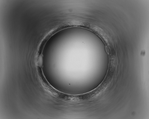 X0000097980395200803241304