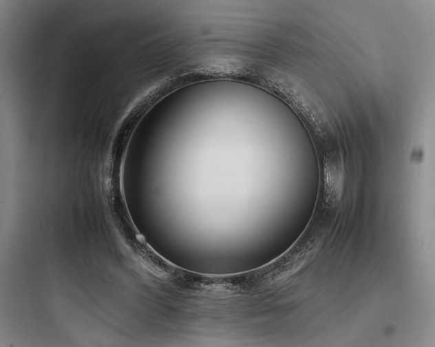 X0000097980396200803241304