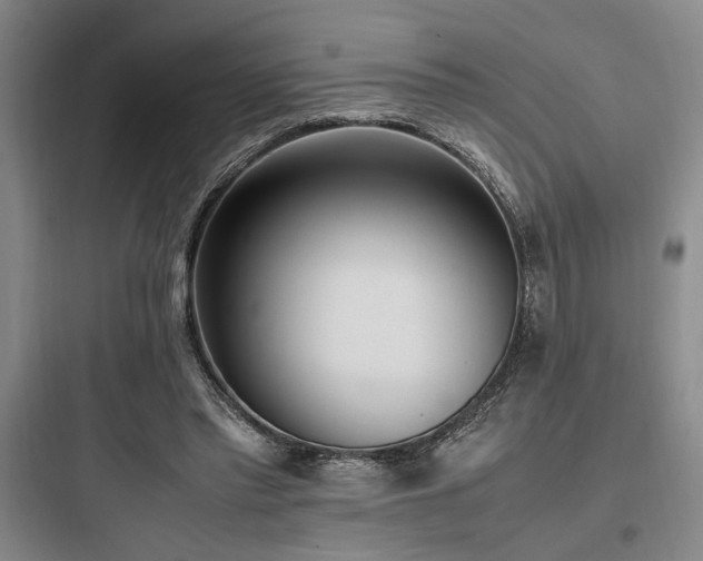 X0000097980397200803241304