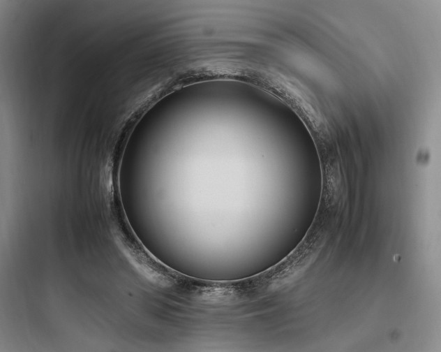 X0000097980398200803241304