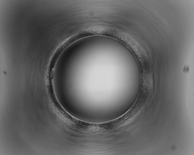 X0000097980399200803241304