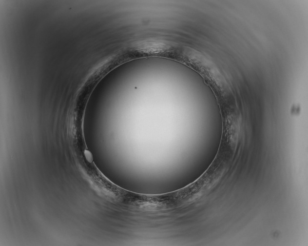 X0000097980400200803241304